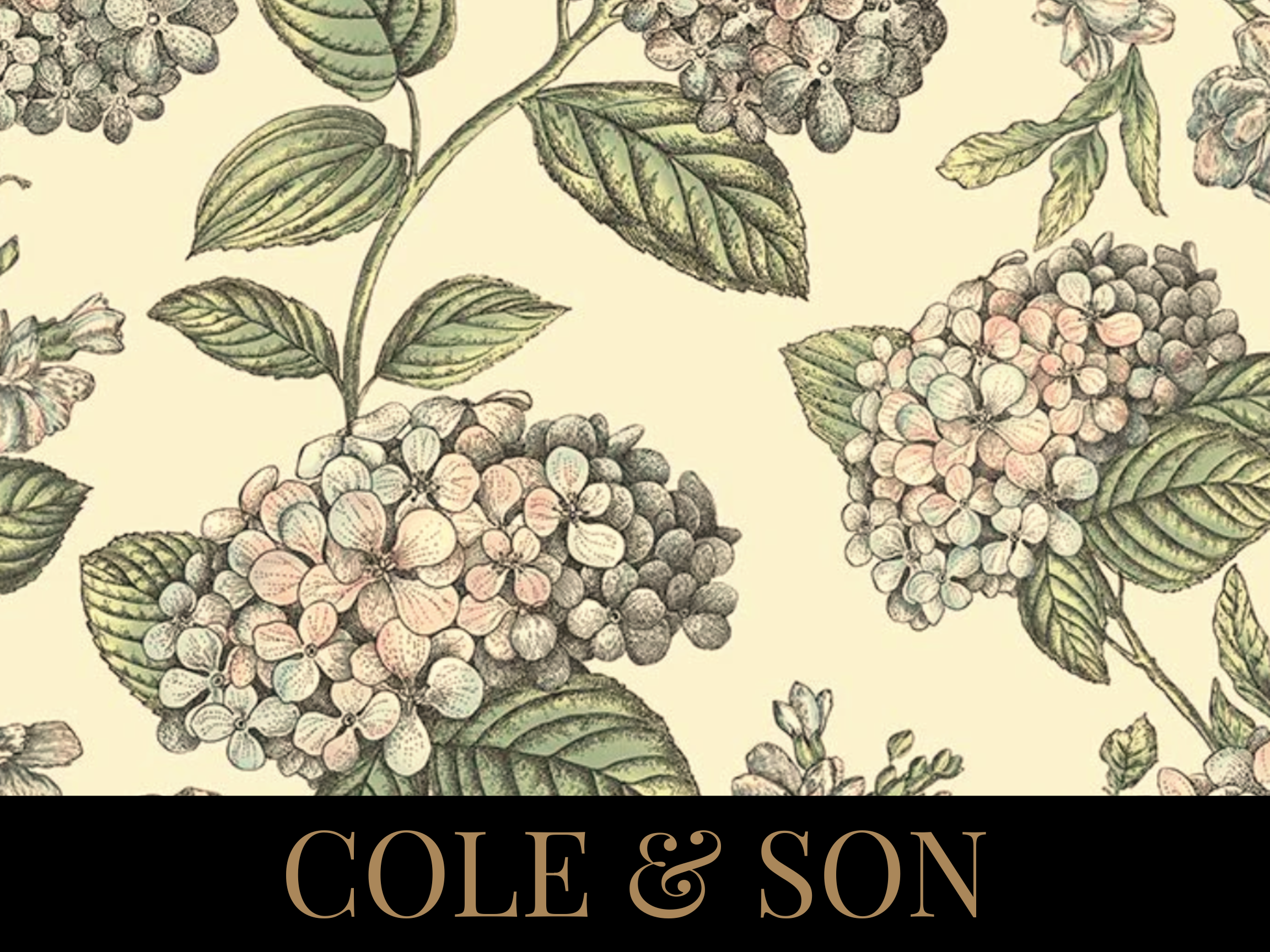 Cole & Son wallpaper is available to order at The Home Studio Collective.