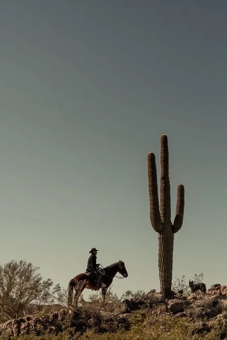 A person riding a horse in a desert landscape with a tall saguaro cactus and sparse vegetation.