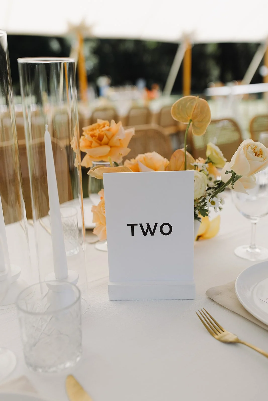 Sperry Tents Sunshine Coast_10x22m Oyster_Senses Noosa North Shore_Lovebird Weddings