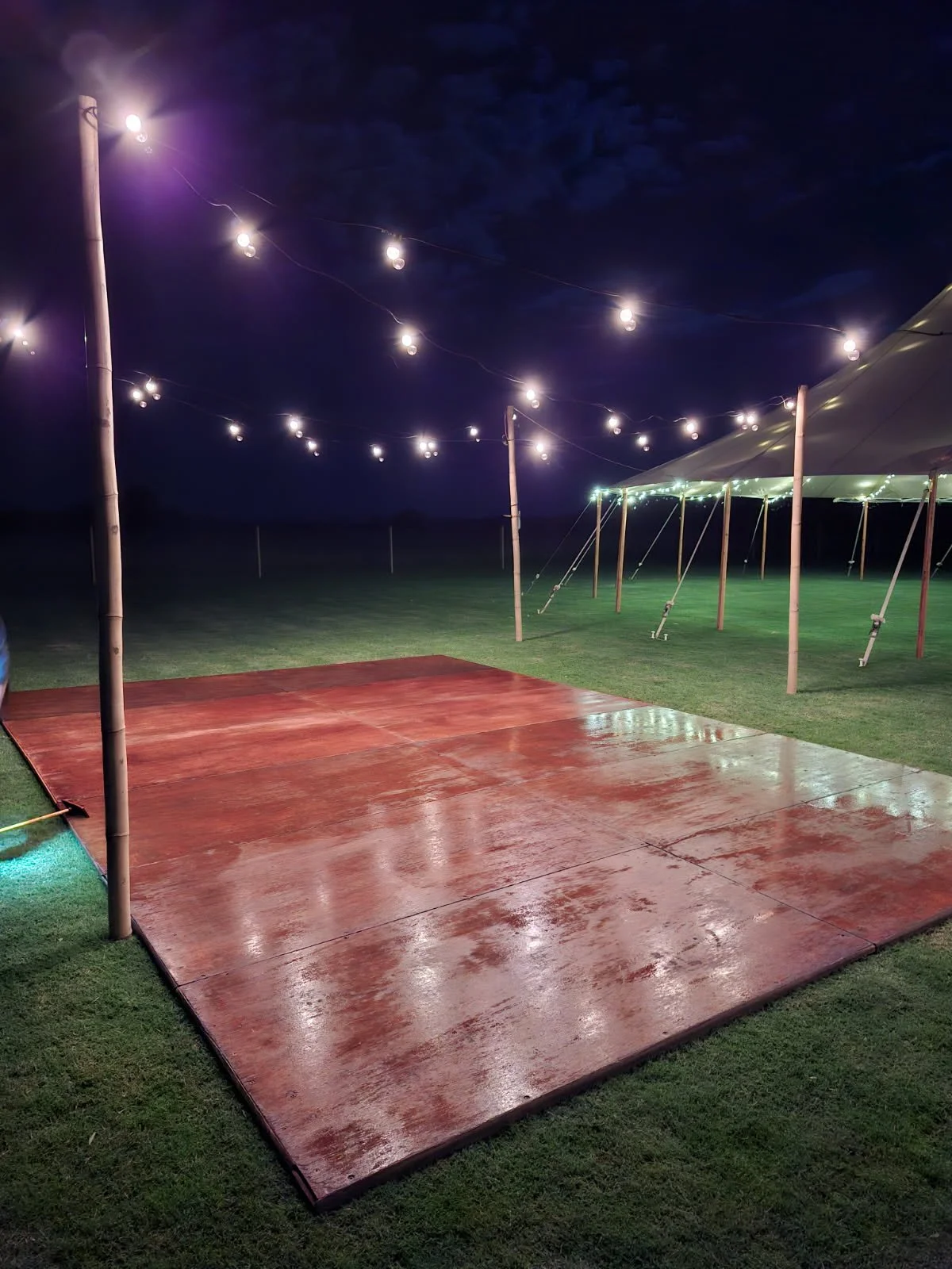 7m Dancefloor with OL.jpg
