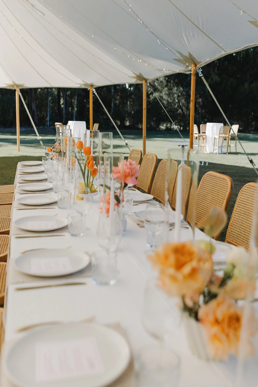 Sperry Tents Sunshine Coast_10x22m Oyster_Senses Noosa North Shore
