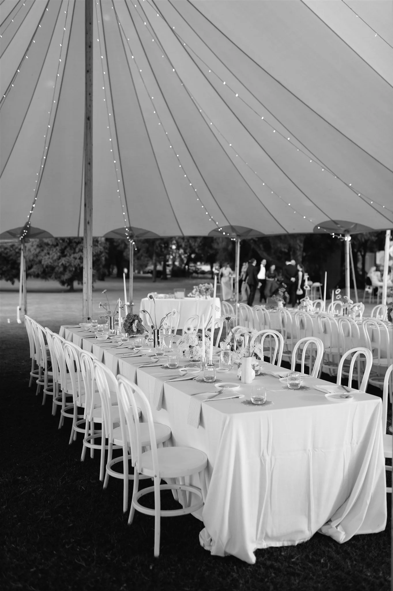 Sperry Tents Sunshine Coast_14x26m Oyster