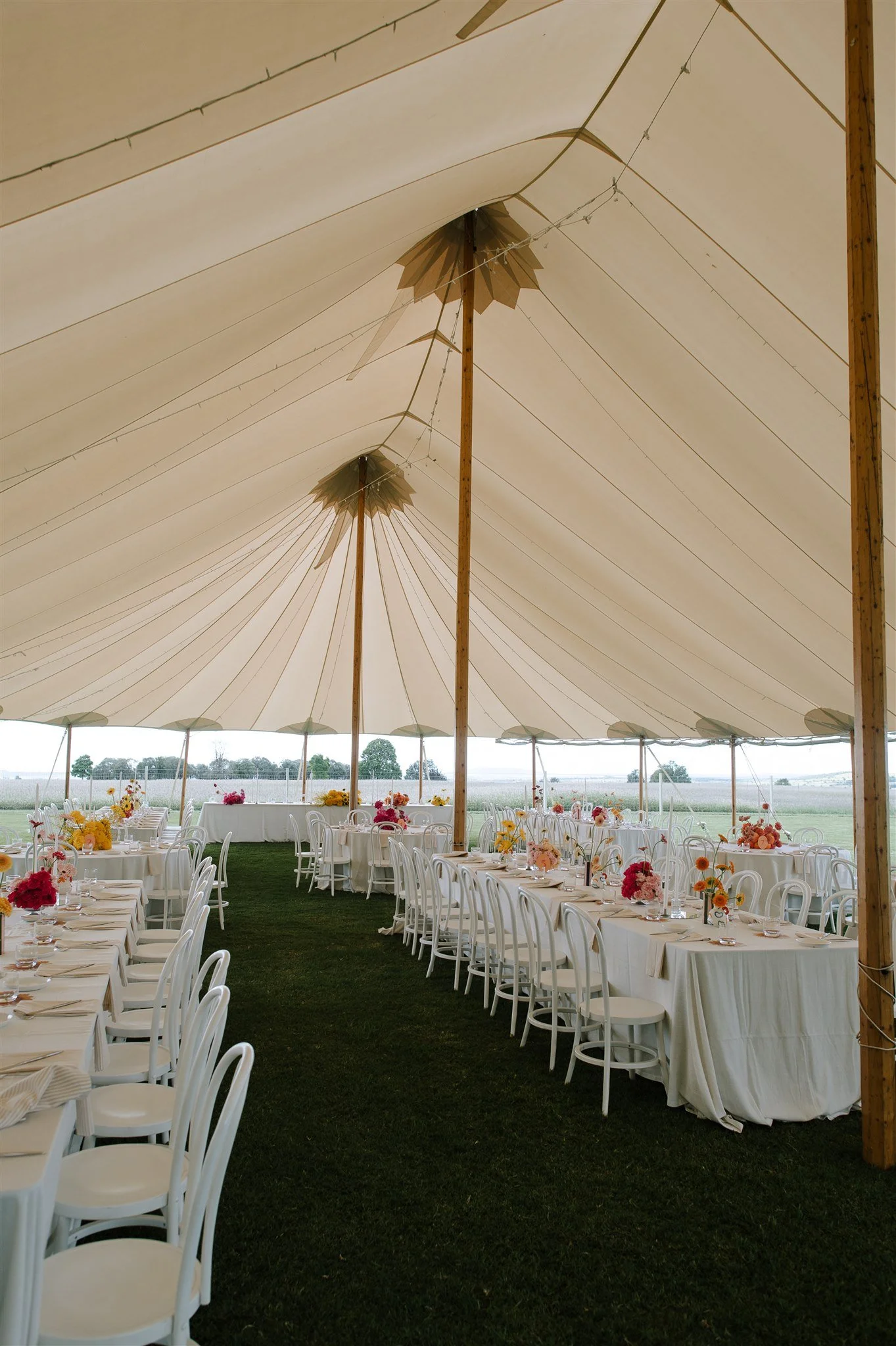 Sperry Tents Sunshine Coast_14x26m Oyster