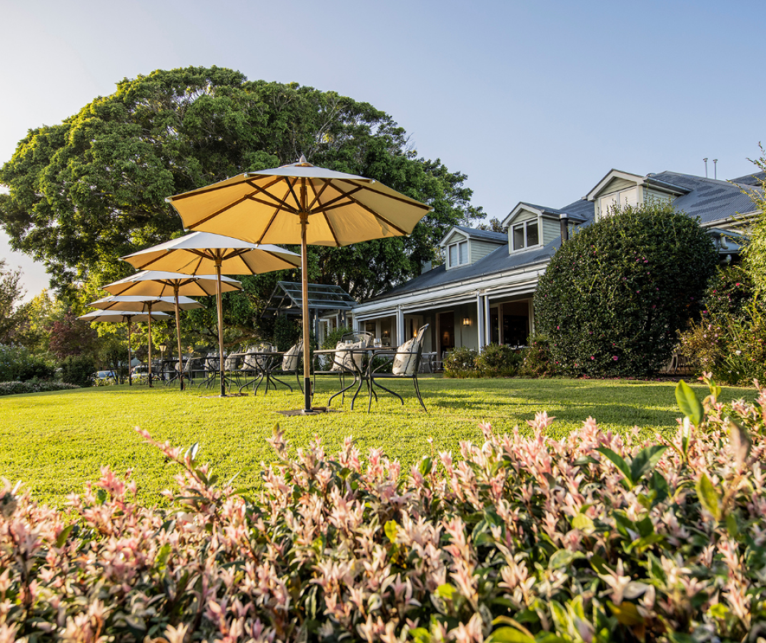 A backyard with multiple patio umbrellas, outdoor chairs, lush green grass, bushes, and a house with dormer windows.