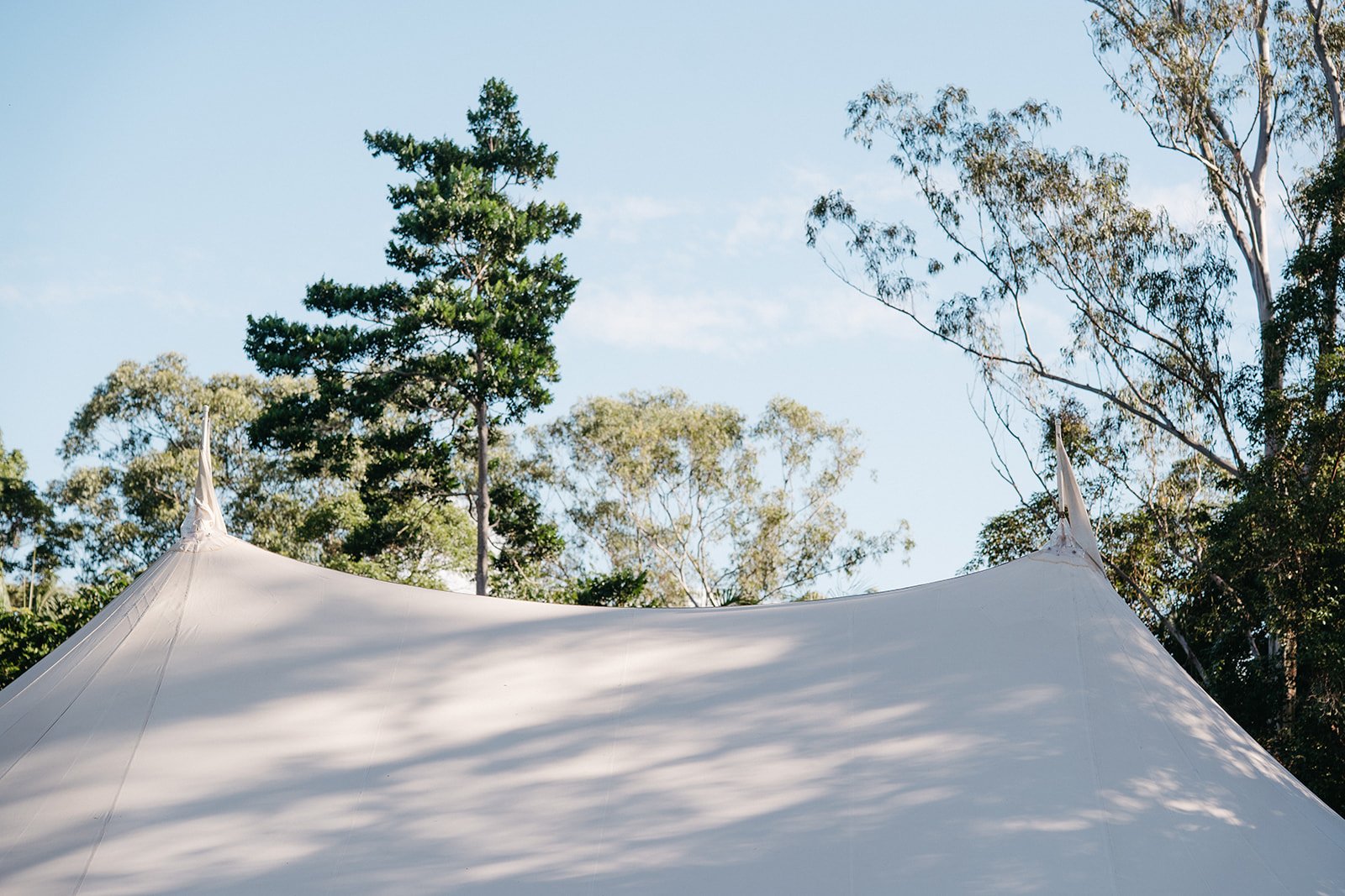 A white tent with pointed peaks set up outdoors among tall trees with a blue sky in the background.