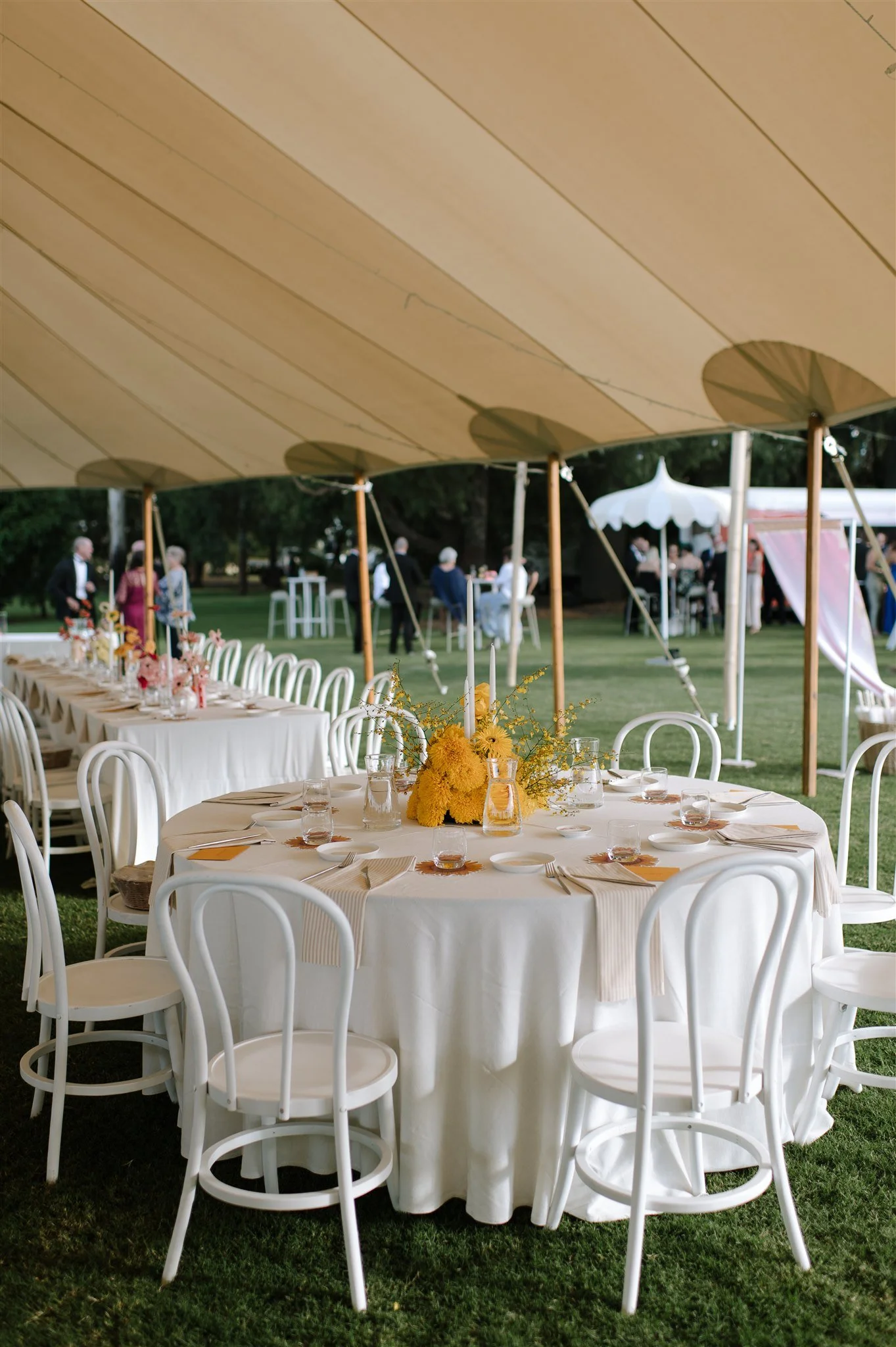 Sperry Tents Sunshine Coast_14x26m Oyster