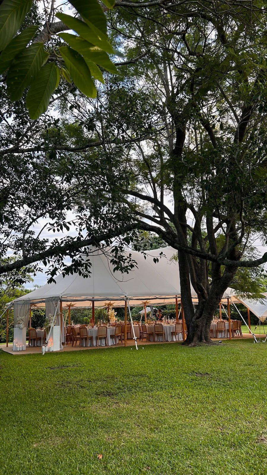 Woven Matting over Plywood Panels_Lovebird Weddings_Sperry Tents Sunshine Coast