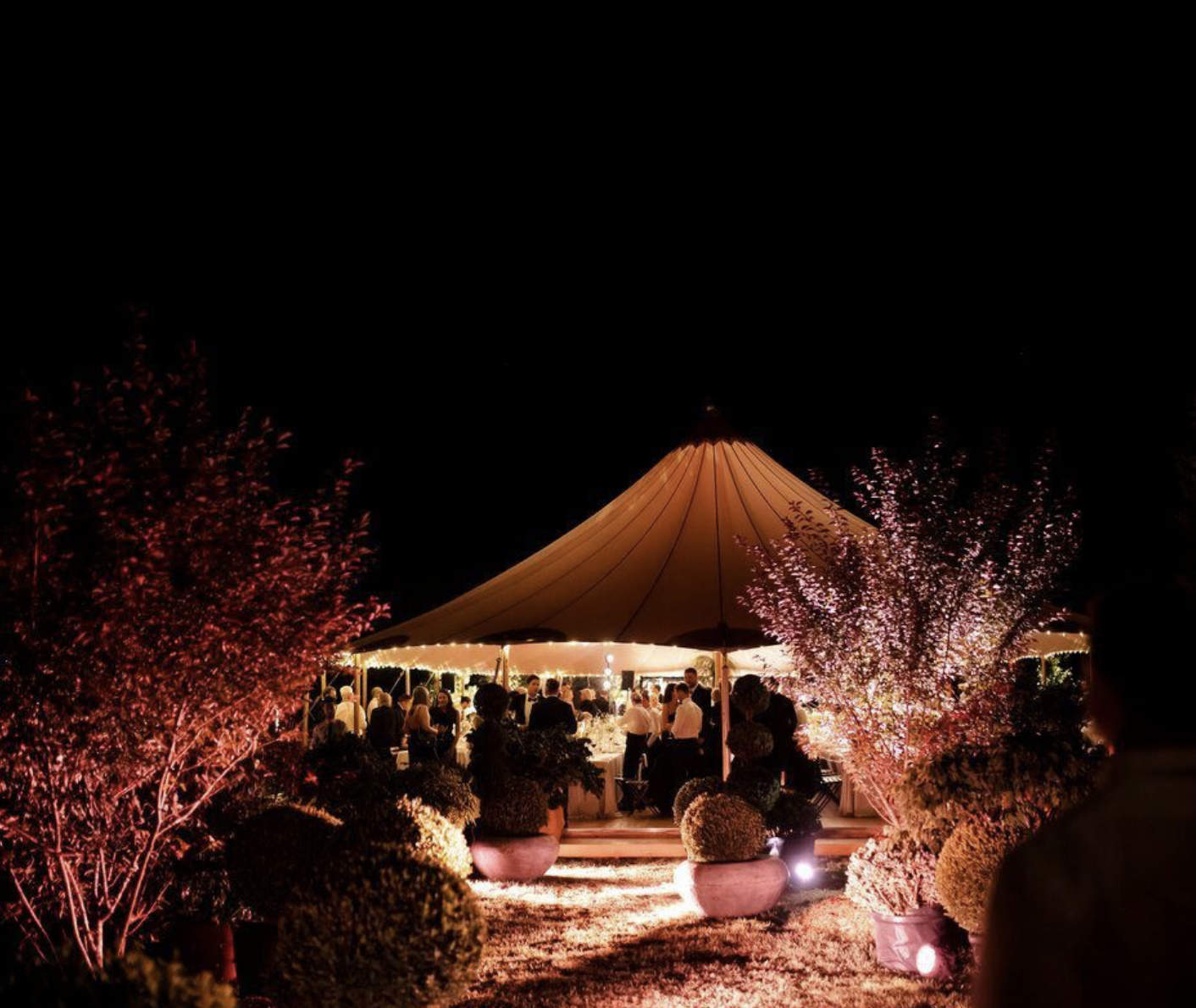 Night scene of an outdoor event under a large beige tent illuminated with warm string lights, surrounded by pink flowering trees and potted plants, with people socializing inside.