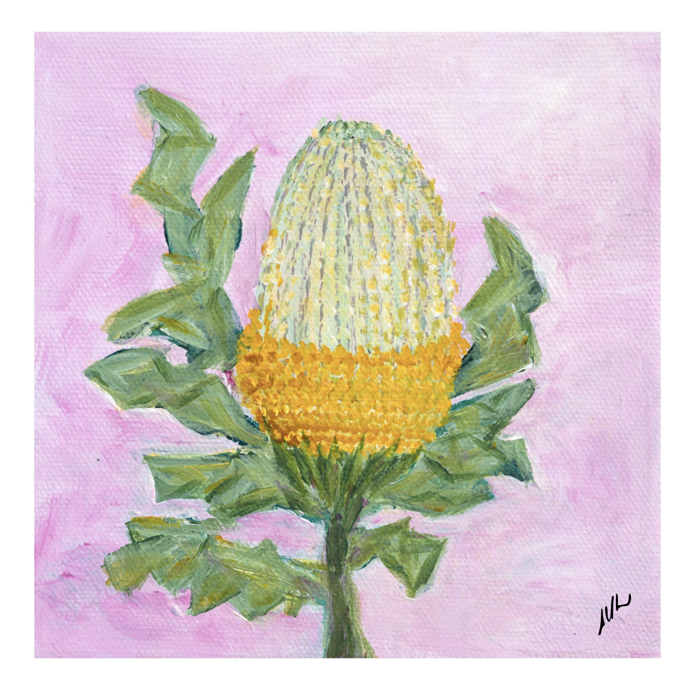 Banksia Gold - fine art print Marg Lukas Newcastle artist.png