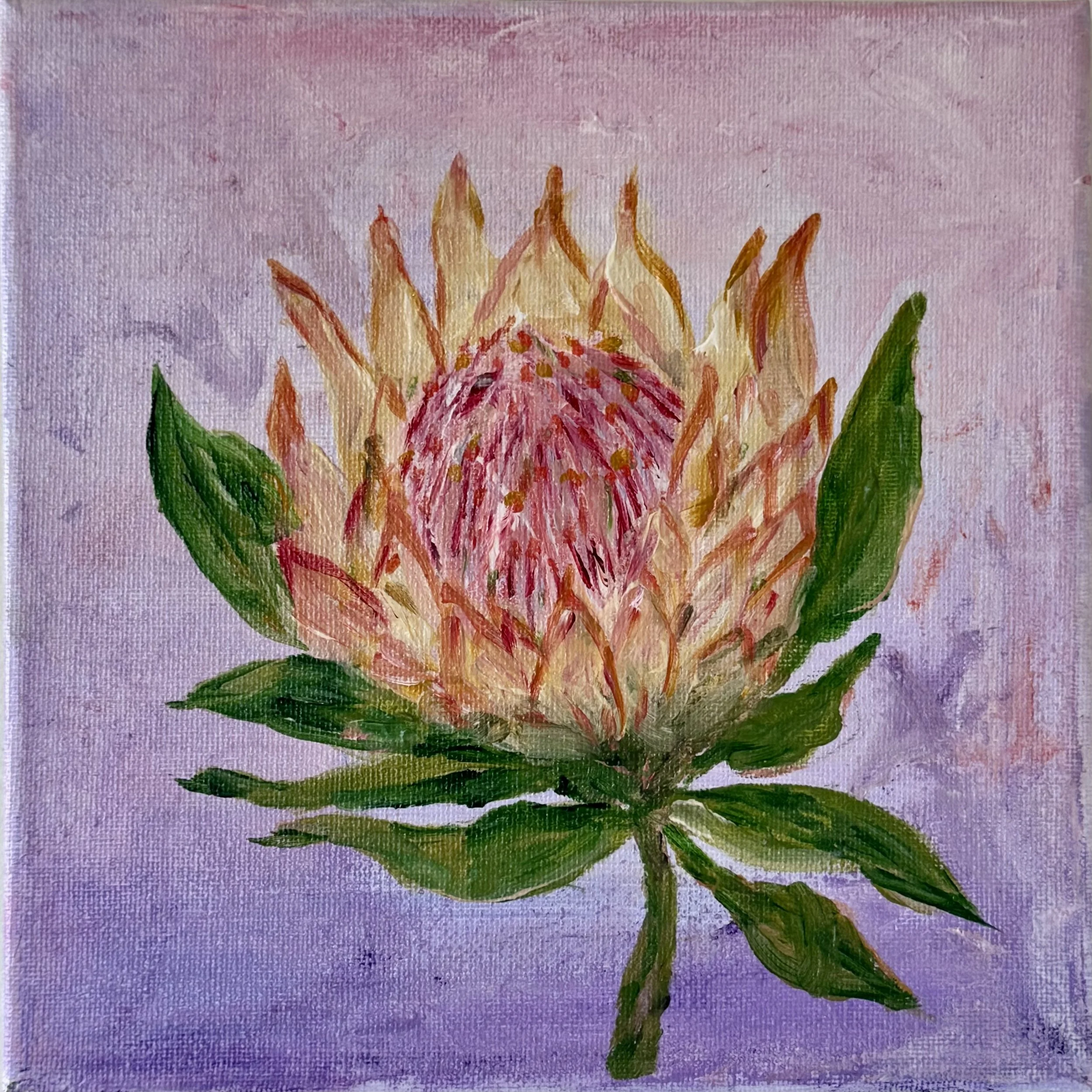 Prettiest Protea Marg Lukas Art Newcastle NSW Floral Artist.jpeg