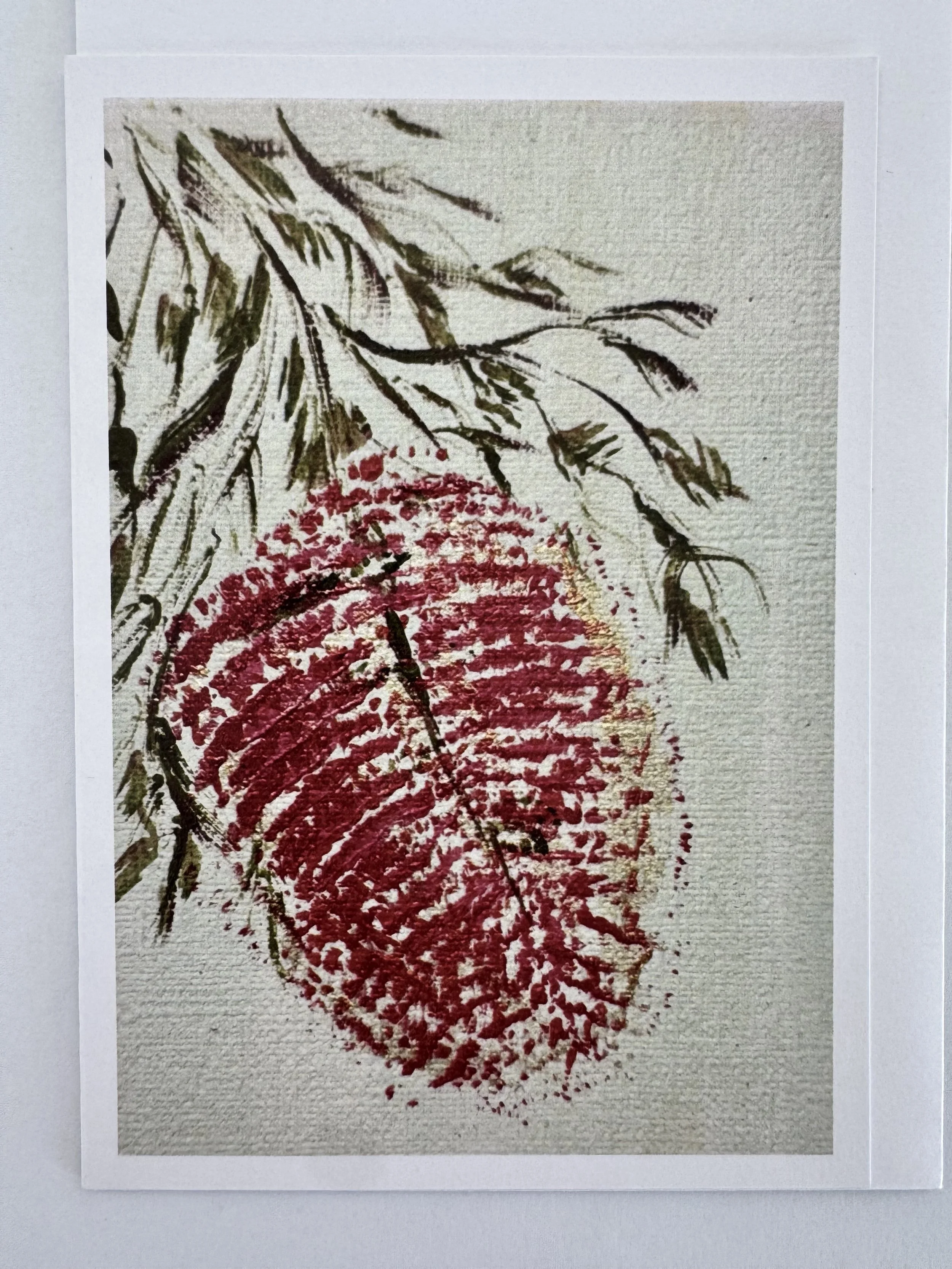 Bottlebrush Margaret Lukas Art Newcastle .jpeg