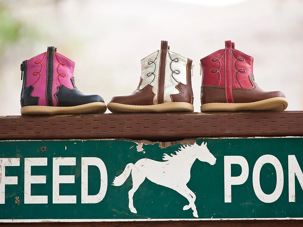cowboy_ponies.jpg