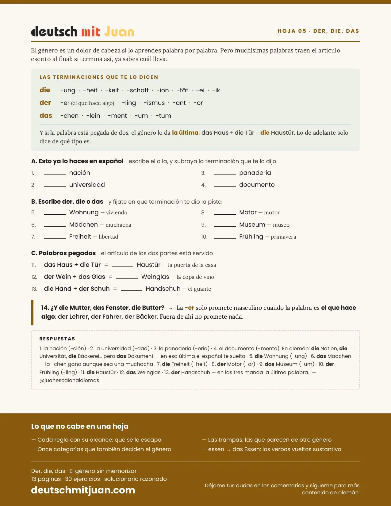 Las terminaciones que delatan el género · Hoja gratis