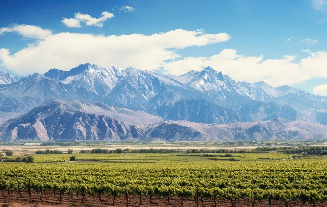 Top-Wine-Regions-in-Chile.jpg (Copy)