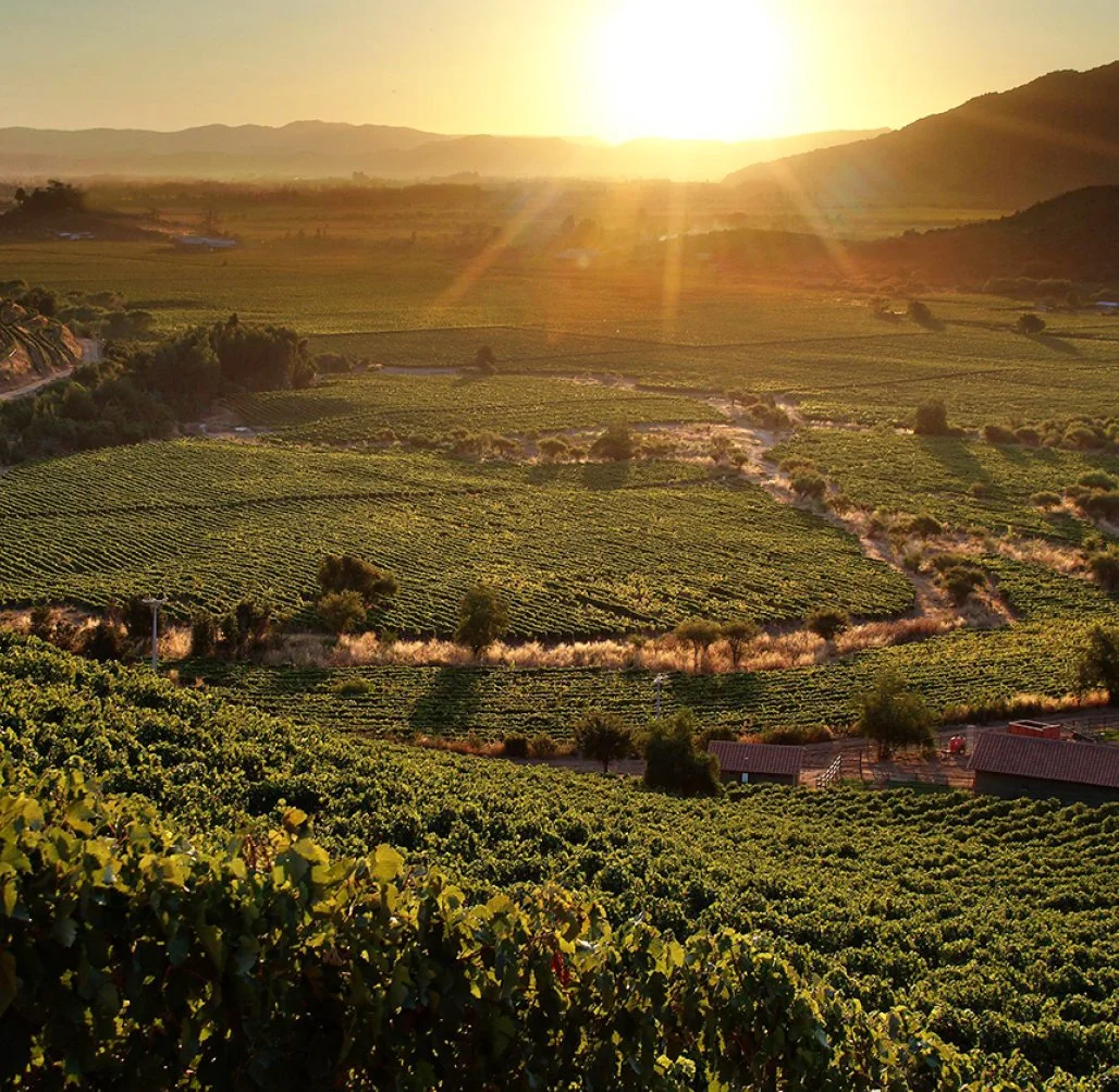 Noticia27.jpg (Copy)