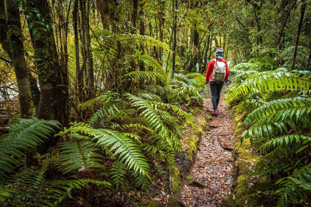 Naturally Light: Chile at Your Own Rhythm