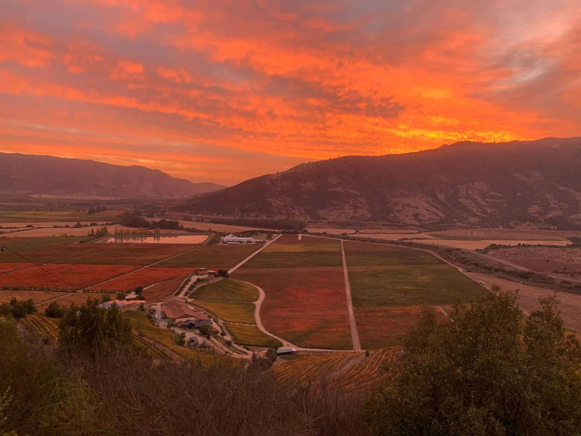 tour-Astronomico-vina_santa_cruz-10-scaled.jpg (Copy)