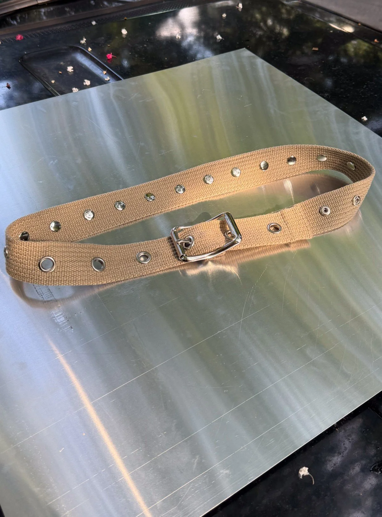 WEB BELTS