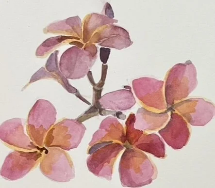 Jane Johannsen, Plumerias, 2025