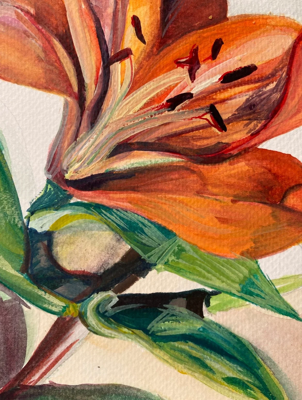 Jane Johannsen, Iris, 2023