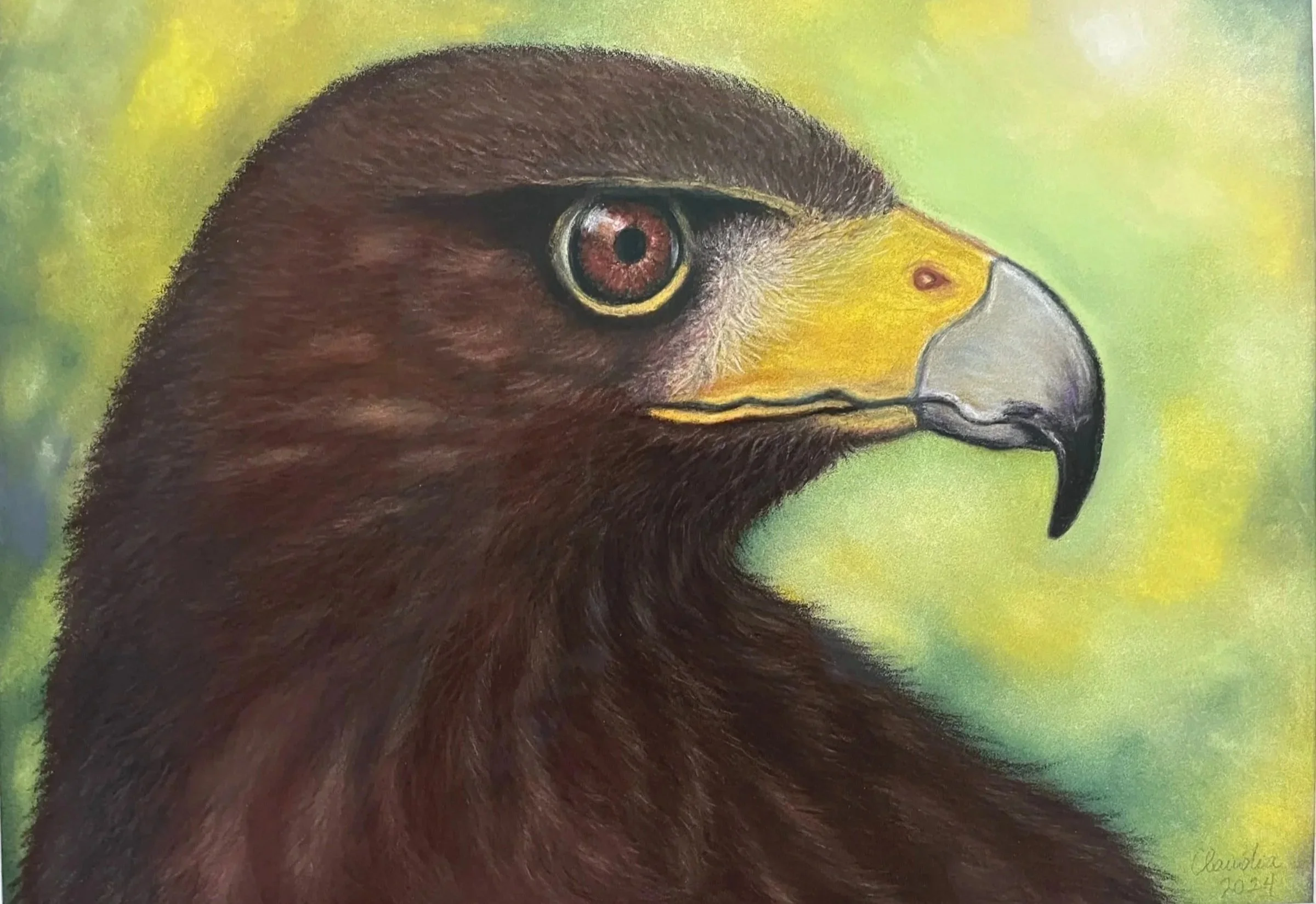 Close-up of a hawk, with brown feathers, a yellow beak with black tip, and a yellow background with greenish hues.