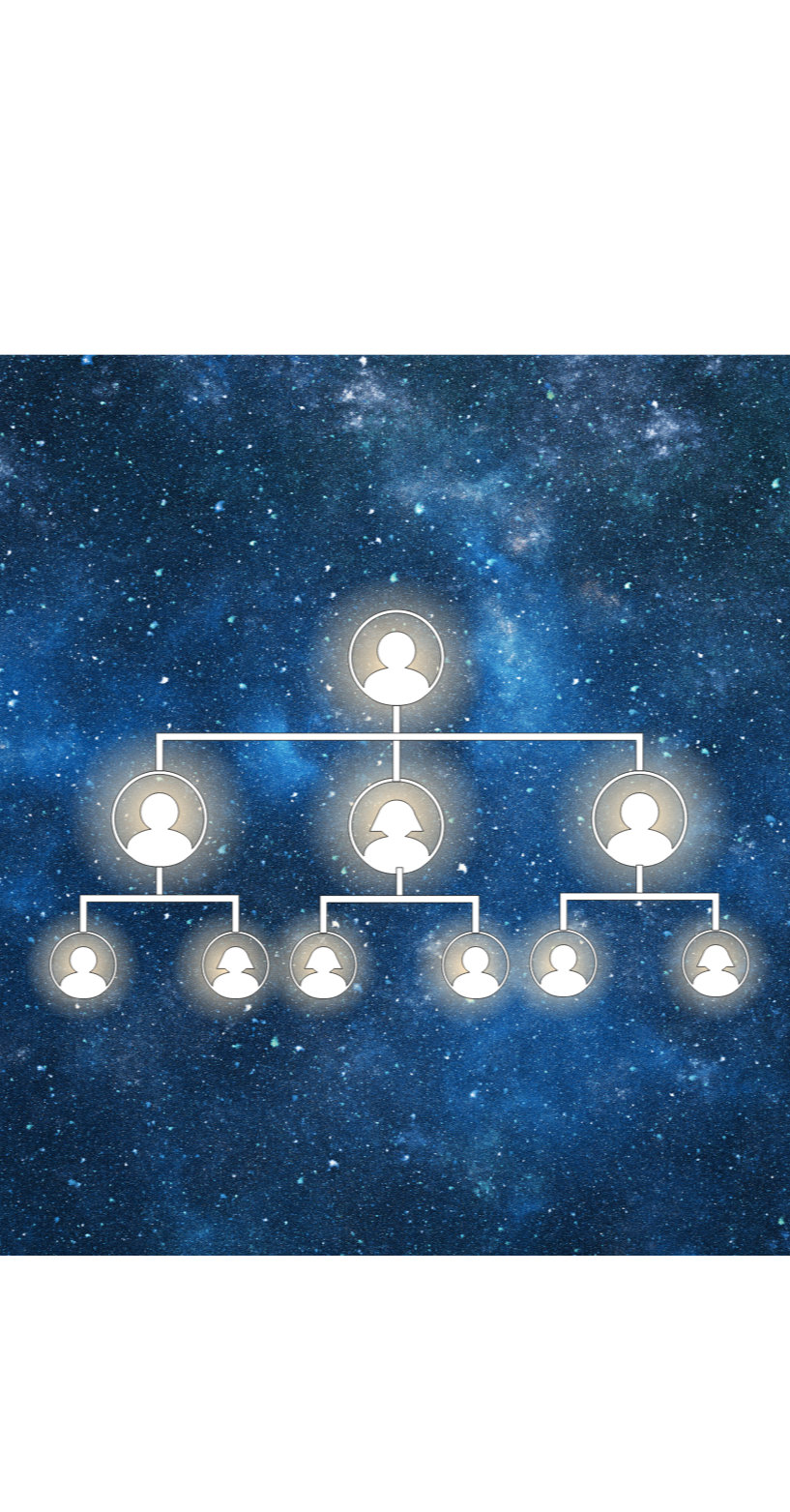 Single 1:1 Online Organizational Constellation Session  (about 80 minutes; English or Spanish)