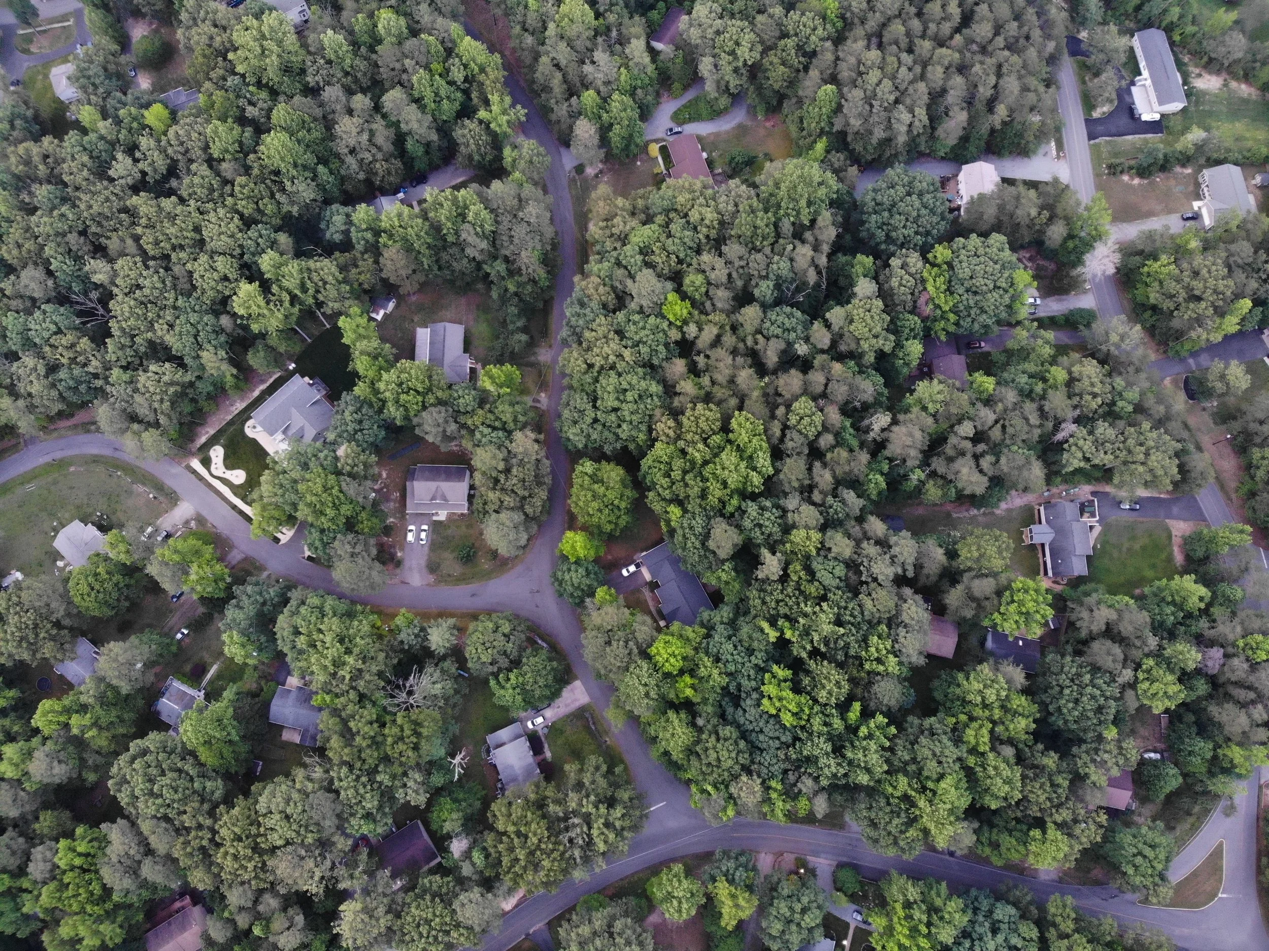 An aerial view of a suburban neighborhood surrounded by dense trees, with winding roads, scattered houses, and cars parked along the streets.