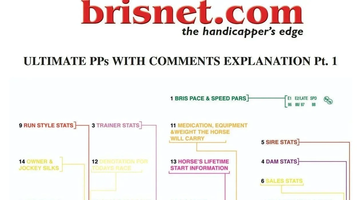 How to Read Brisnet Past Performances Like a Pro
