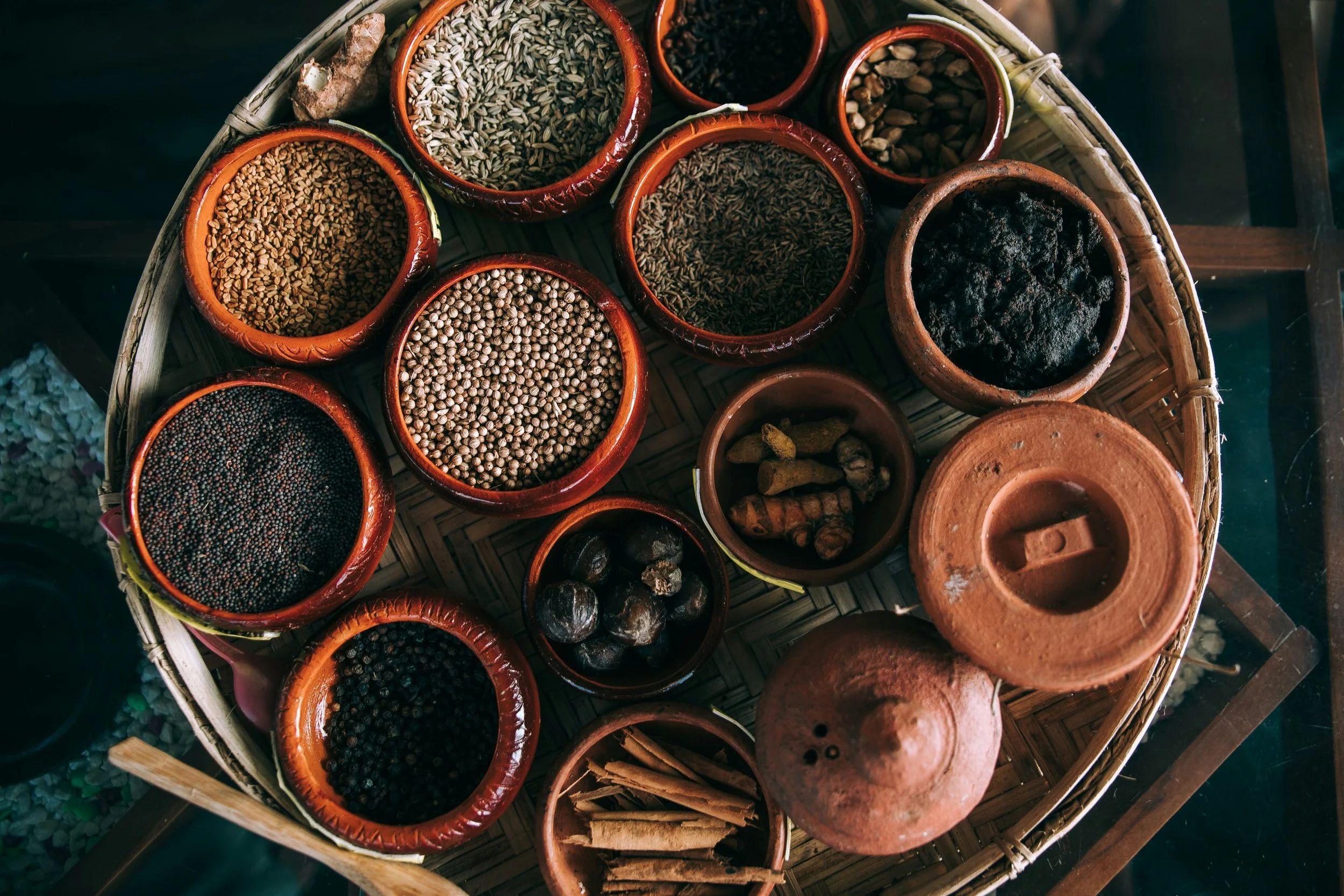 Nature’s Medicine Cabinet: Herbs for Immunity