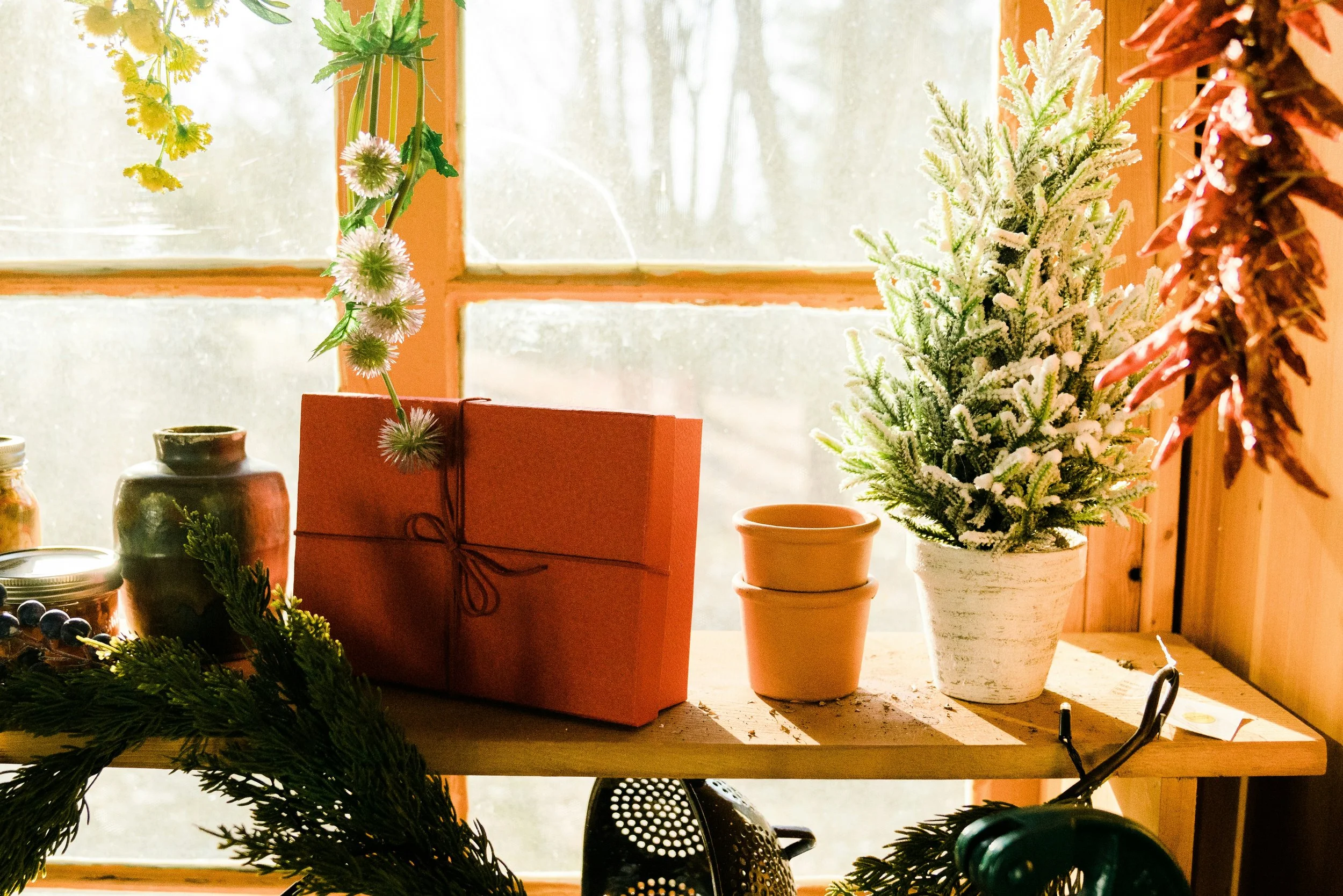 The Gift (Certificate) of Wellness | 10% Discount Applied
