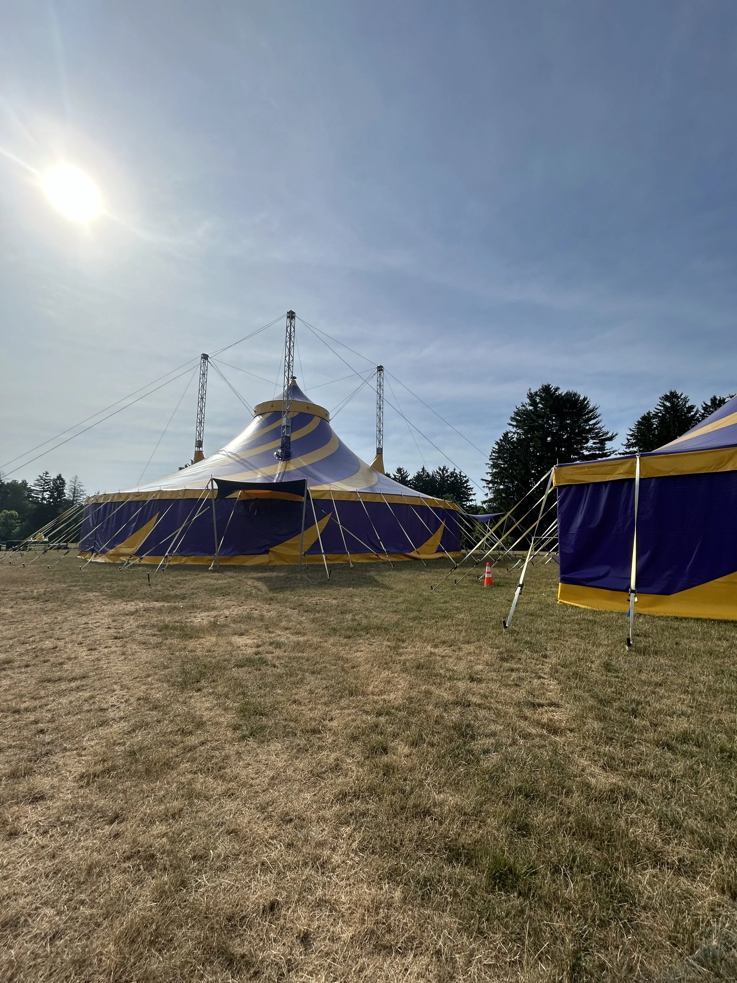 A circus tent with blue and yellow stripes on a grassy field with some trees in the background and the sun shining in a clear sky.