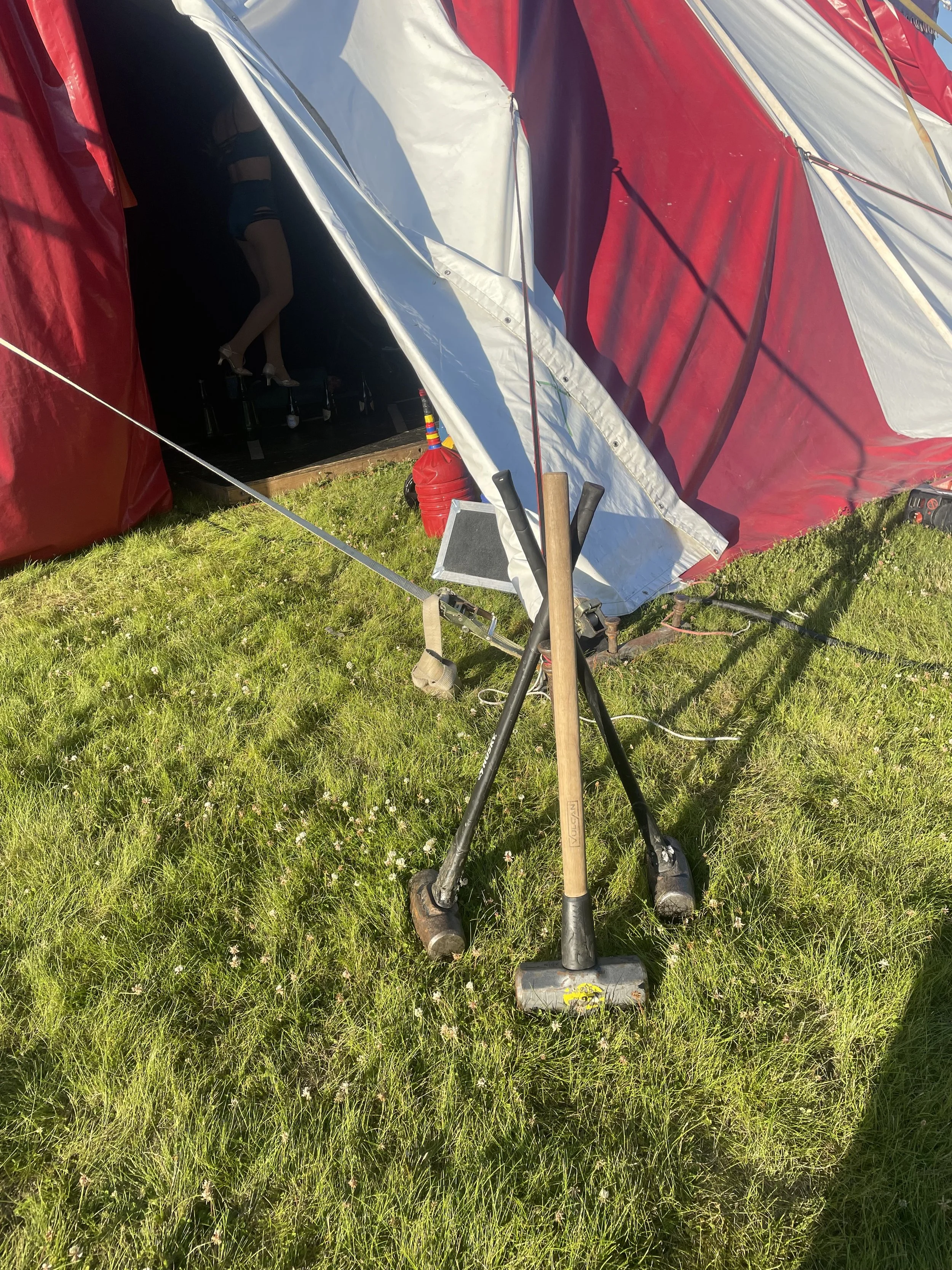 A tent set up on grassy ground with two pool paddles leaning against it and a person inside the tent, visible in the dark, wearing shorts.