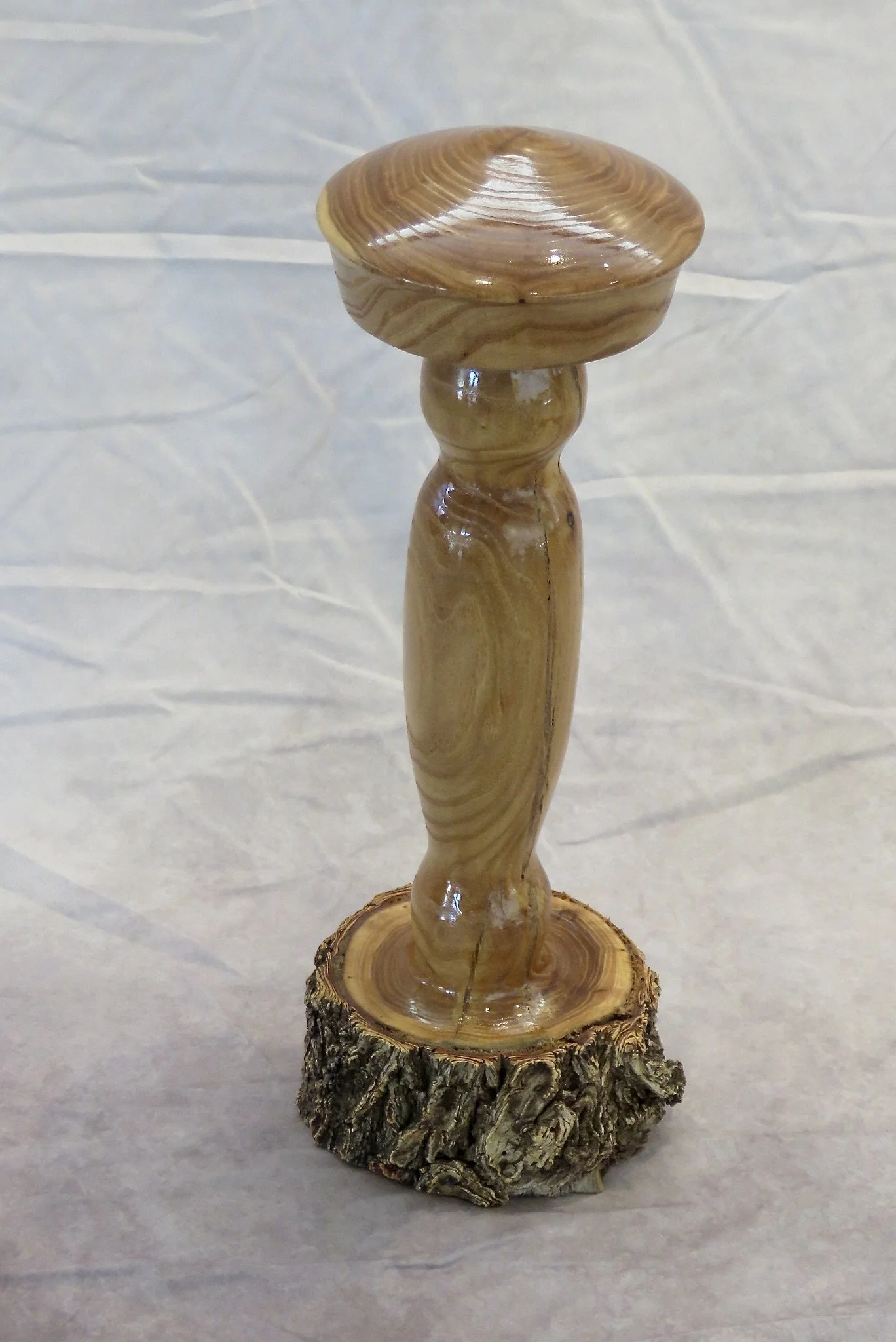 Ed Otero wig stand chinese elm.JPG