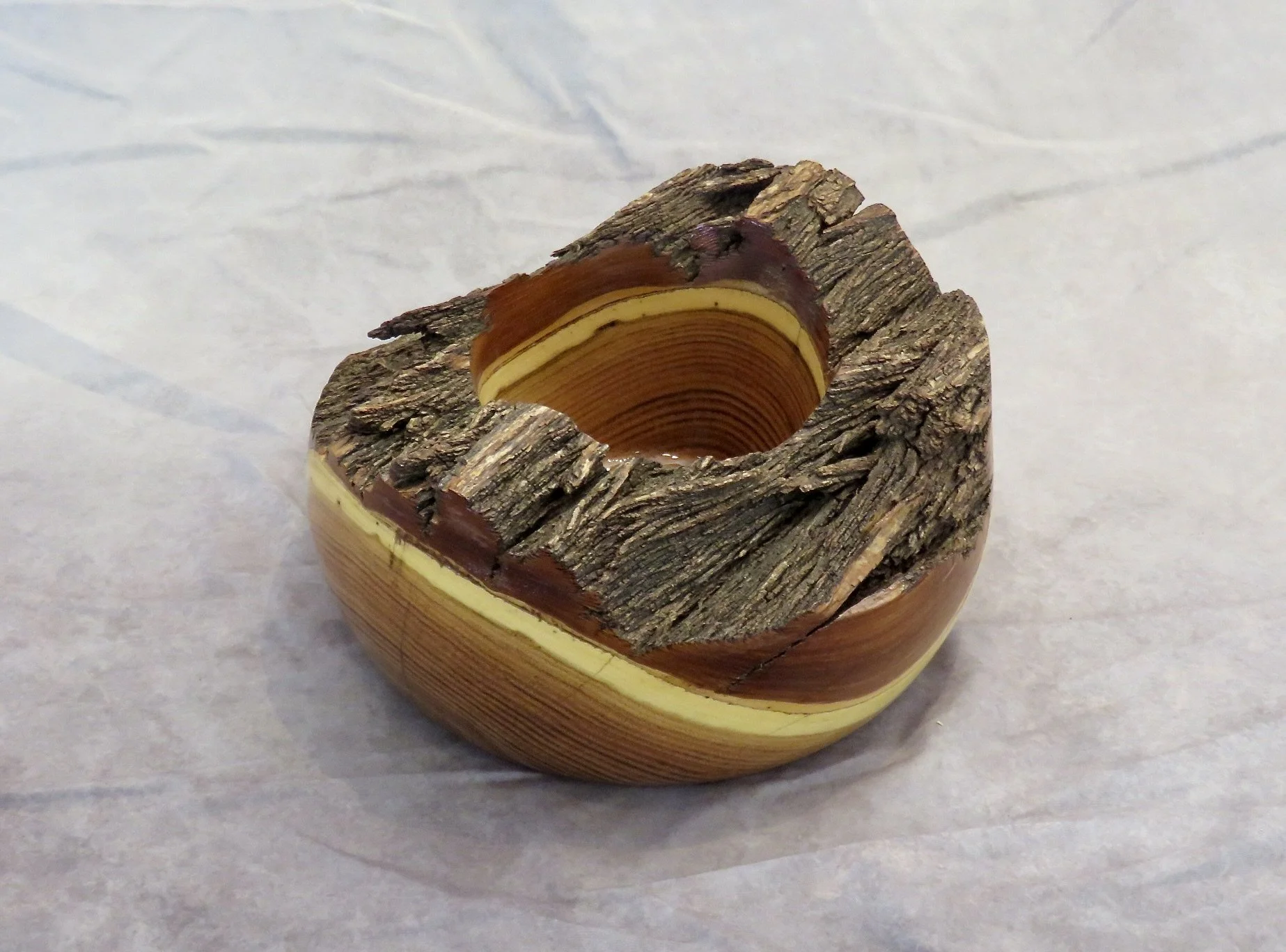 Ed Otero natural edge bowl Chinese elm.JPG