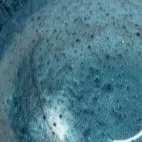 Turquoise FX Metallic Powder