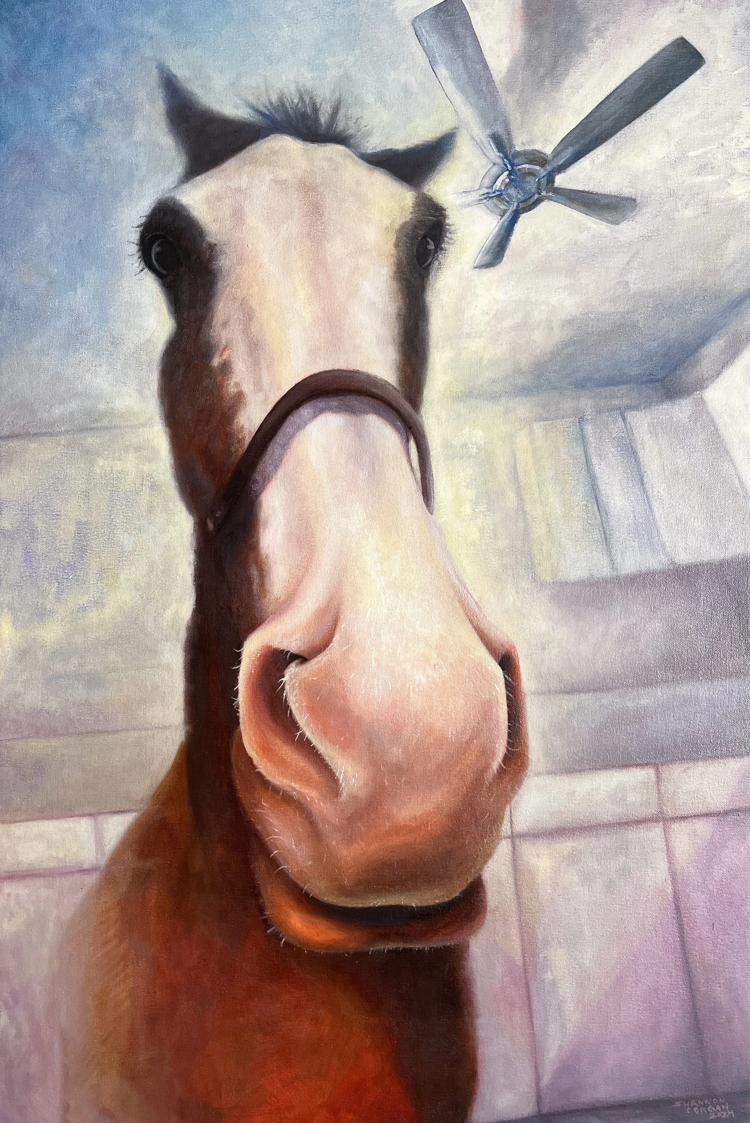 Corgan, Horse In The Kitchen..jpg