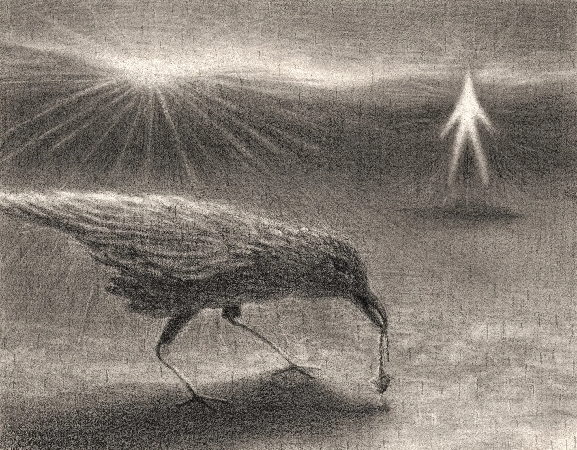 crow 1_corgan_website.jpg