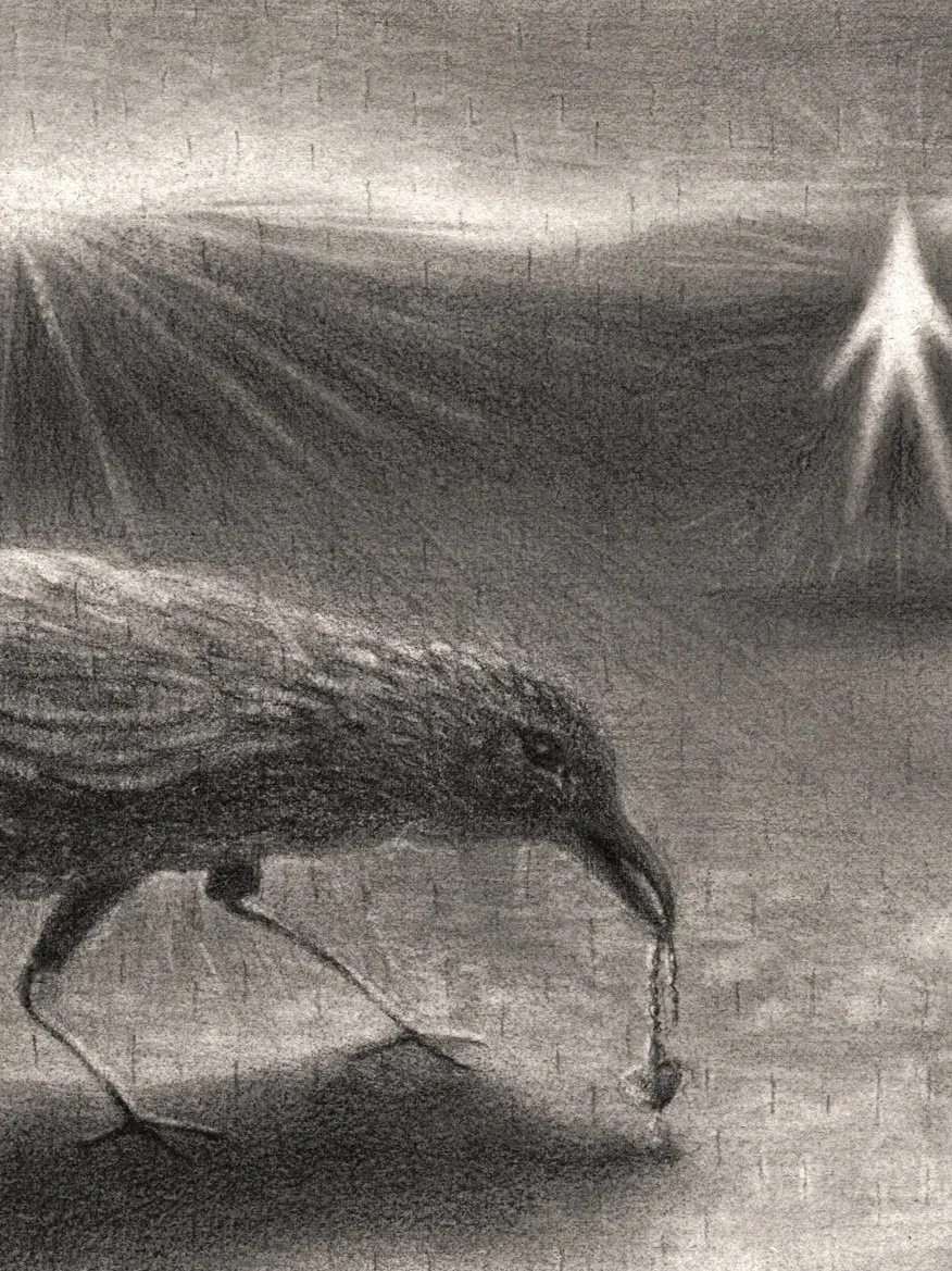 The Crow
