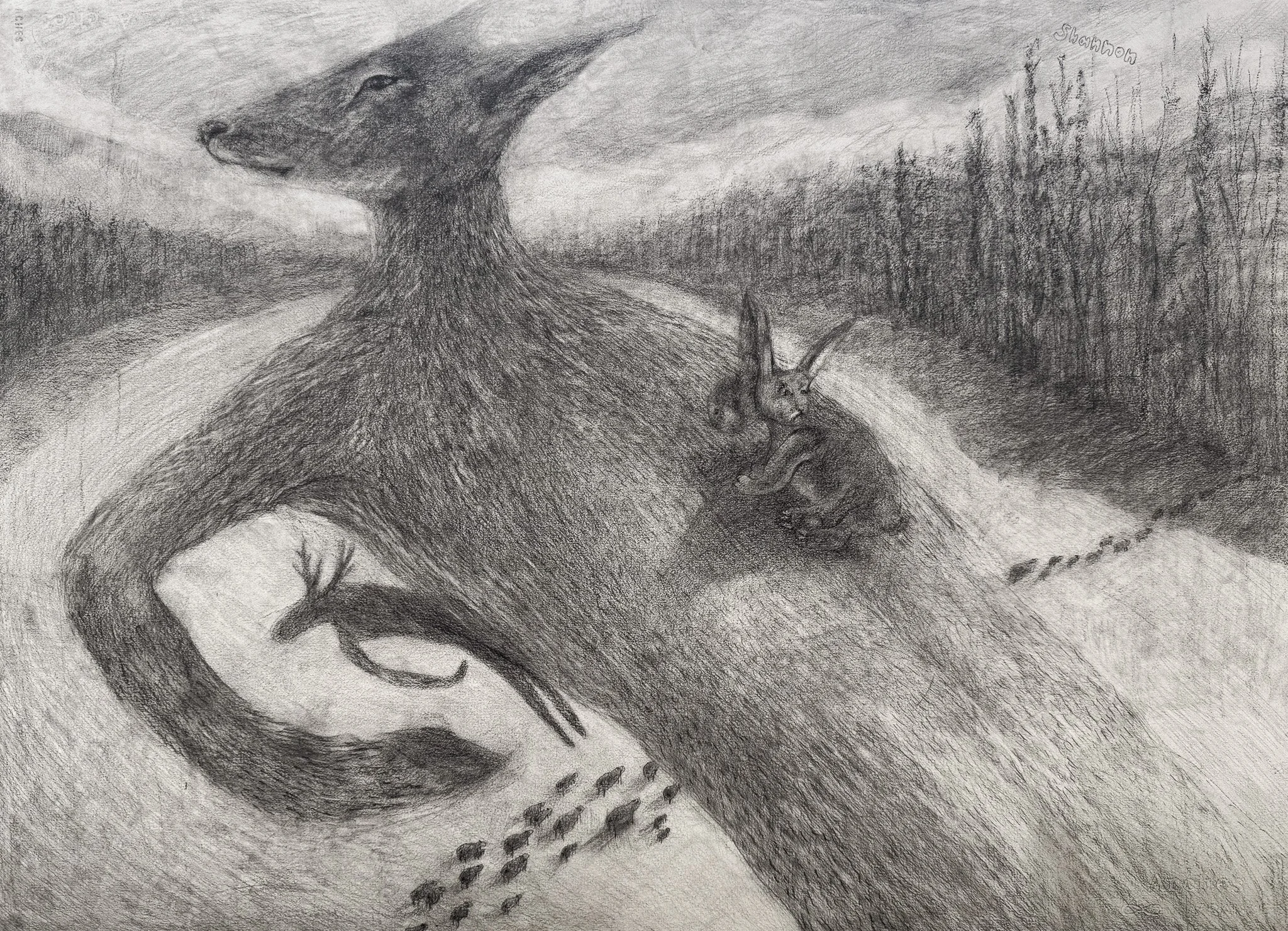 Above The Wind, Shannon Corgan.jpg
