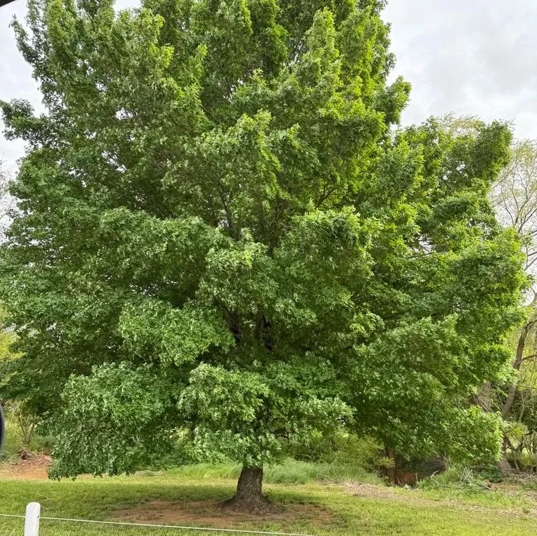 BE57A120-B267-471D-AC01-2BD061A48018_1_105_c.jpg