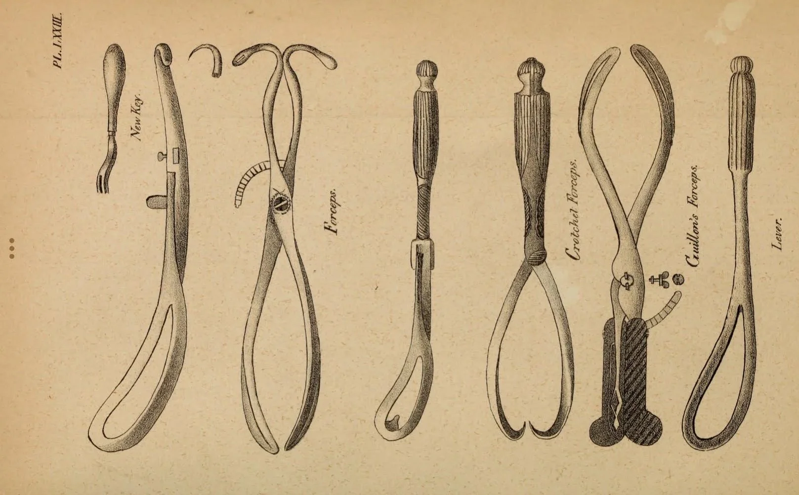 Tool Takeover: StoryMap JS