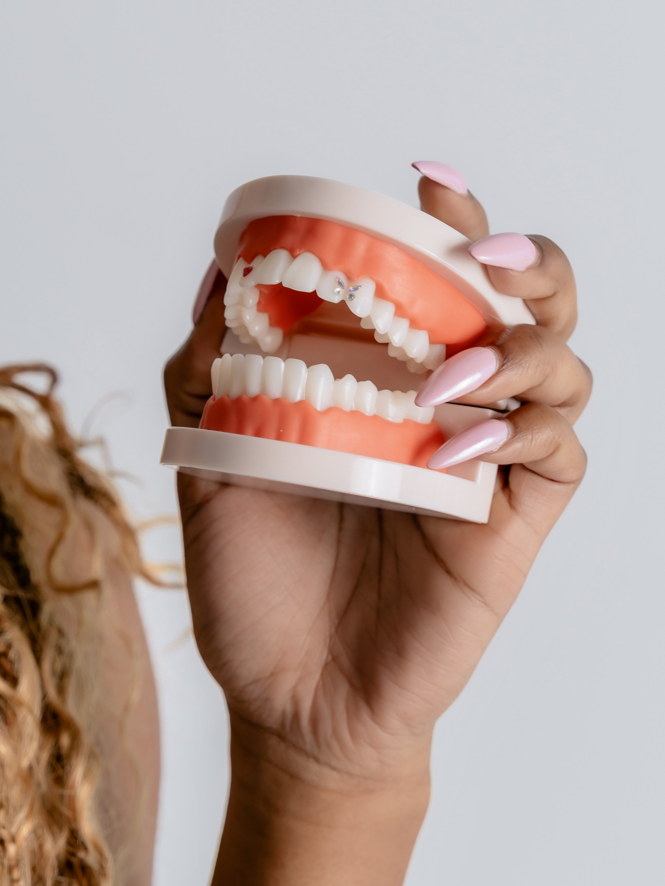Dental Tooth Model