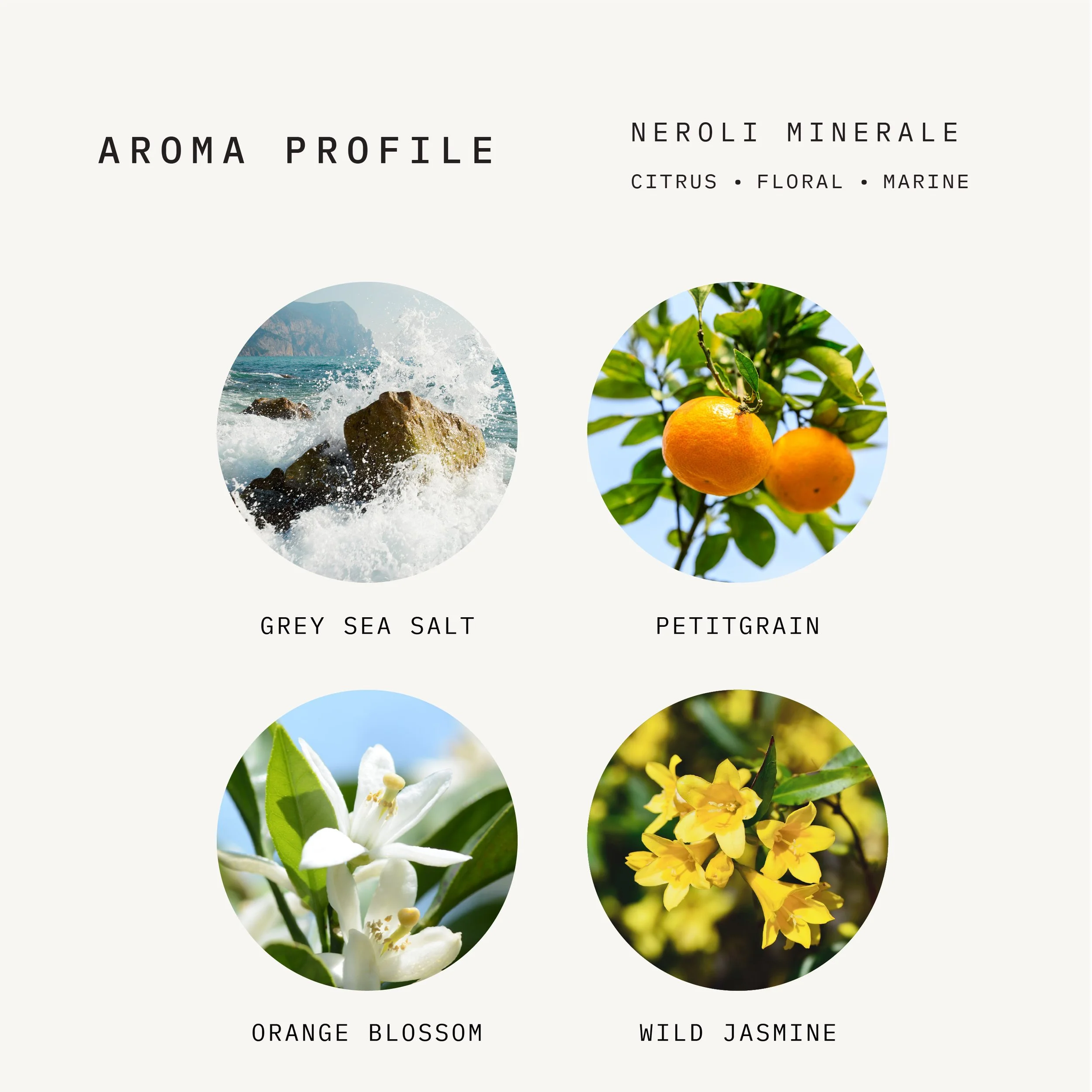 Neroli Minerale_Aroma New.jpg