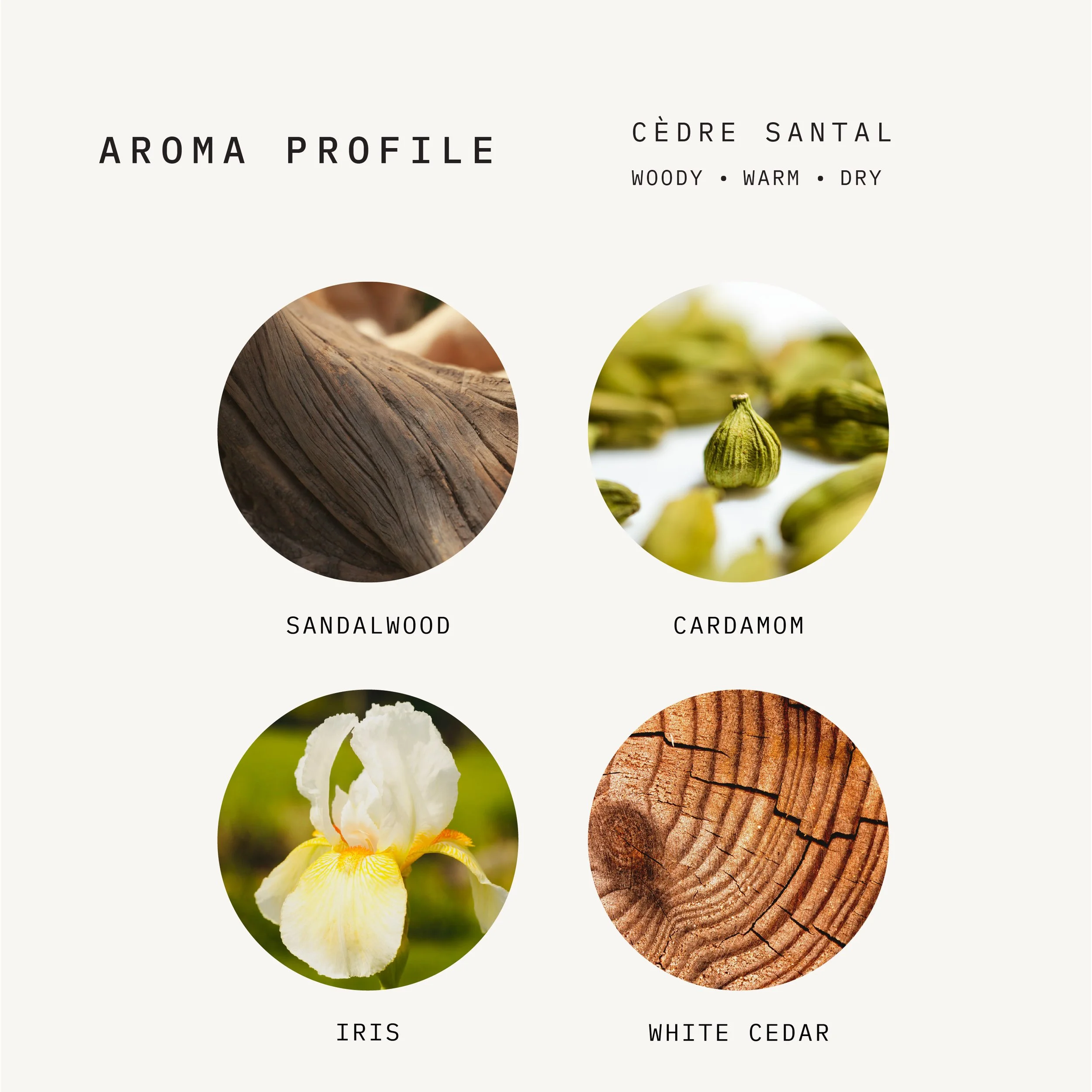 Aroma Profile PDP Image Working File.jpg