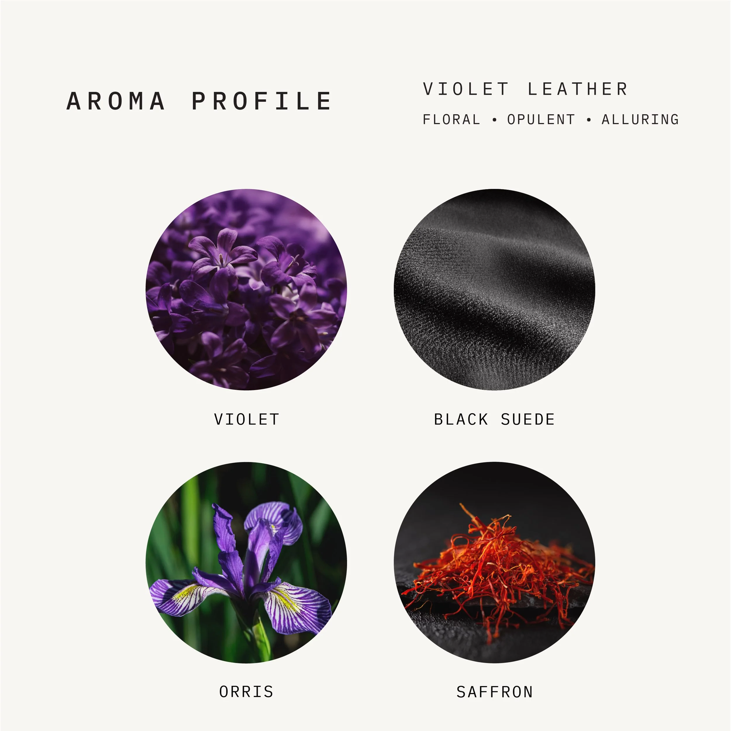 Violet Leather Aroma NEW.jpg
