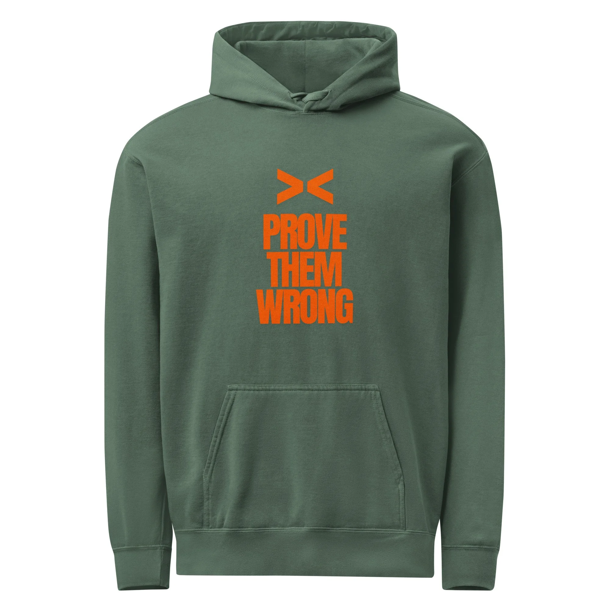 Prove Them Wrong garment-dyed hoodie