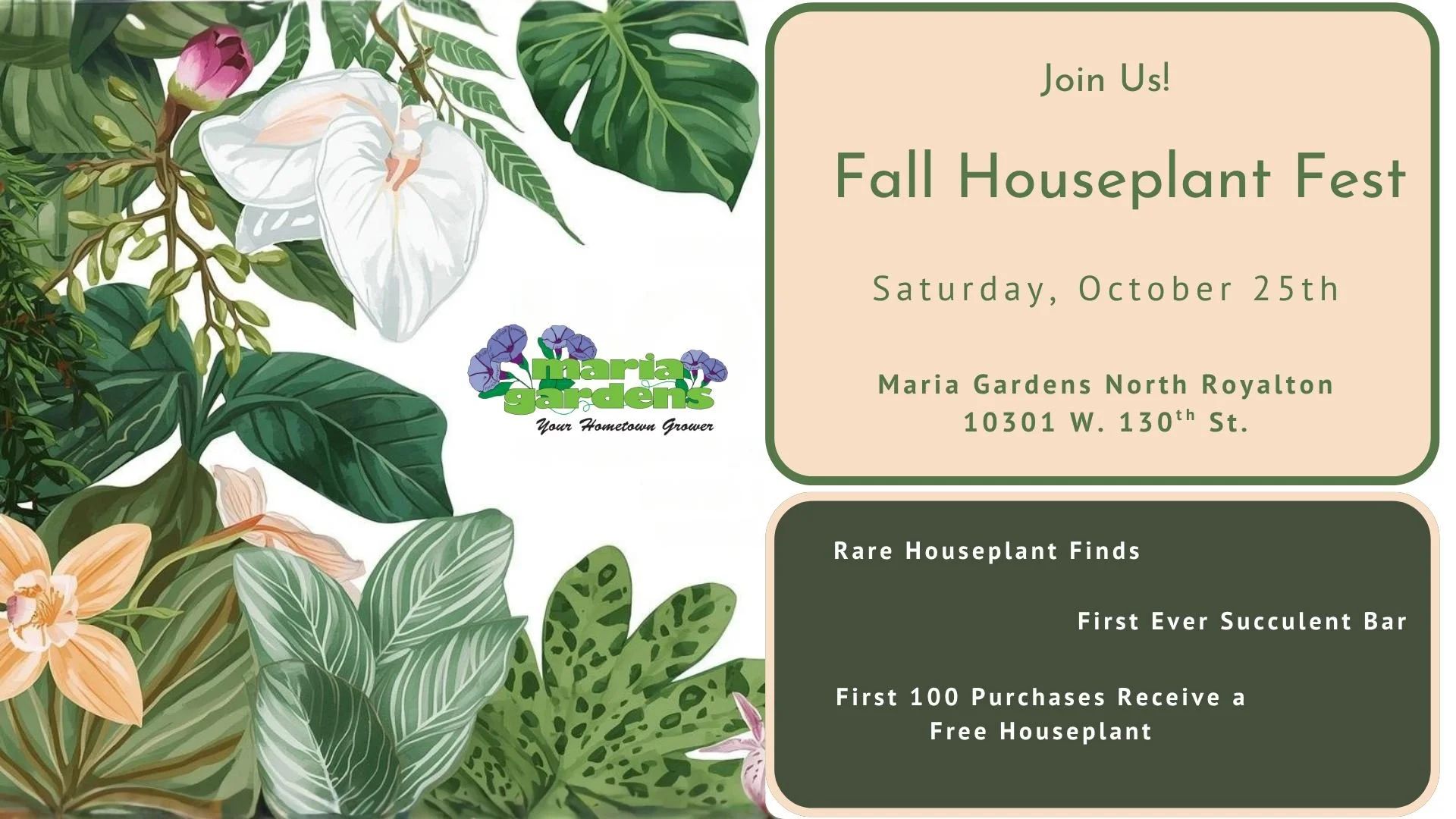 Fall Houseplant Fest