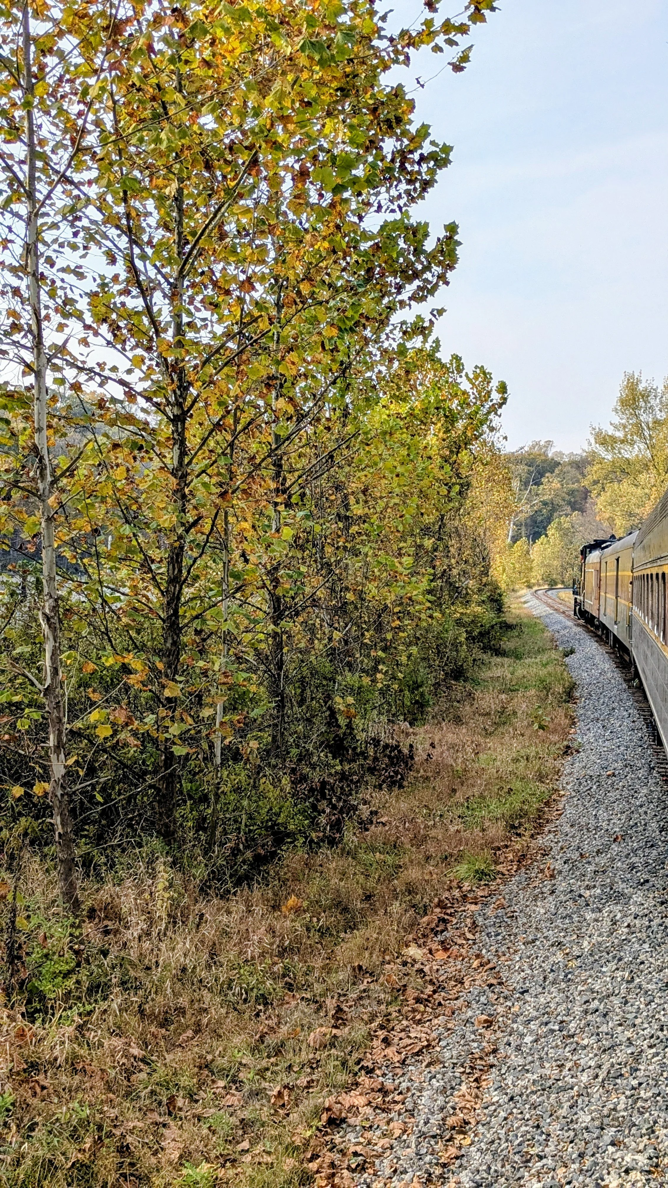 cuyahoga-valley-scenic-railroad-train.jpg