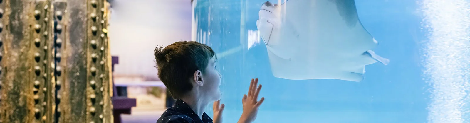 Sensory Hour at Greater Cleveland Aquarium