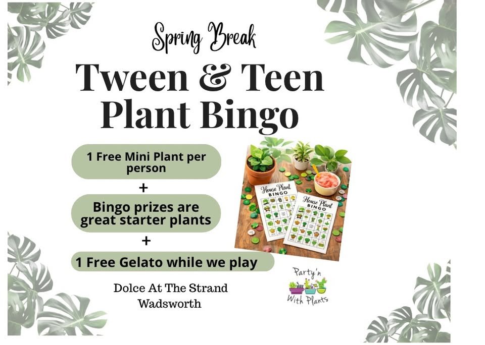 Spring Break Teen Plant Bingo